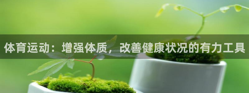 风速体育app下载官网最新版