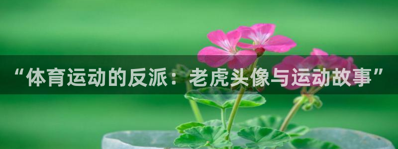 风速体育cba直播