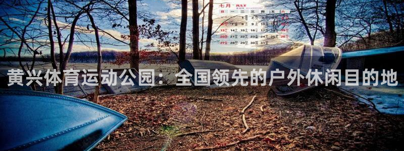 风速体育app