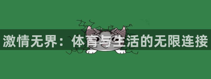 风速体育app