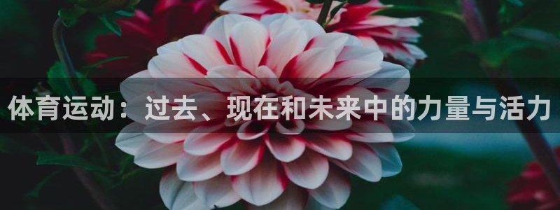 下载风速体育