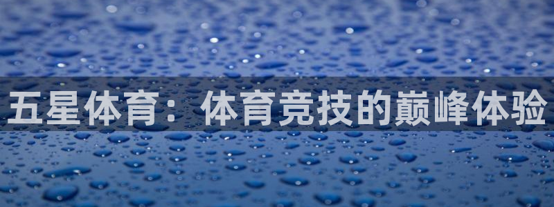 风速体育app