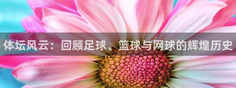 风速体育直播