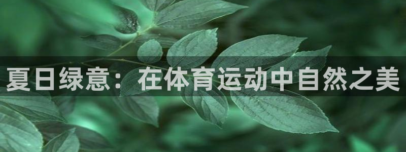 风速体育：夏日绿意：在体育运动中自然之美