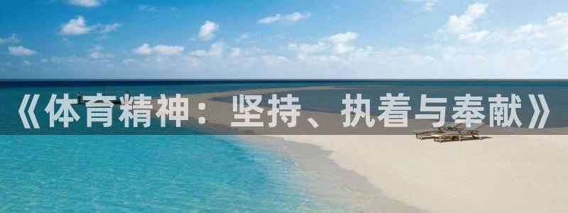 风速体育nba直播：《体育精神：坚持、执着与奉献》