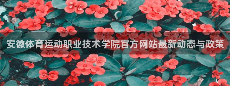 下载风速体育：安徽体育运动职业技术学院官方网站最新动态与政策