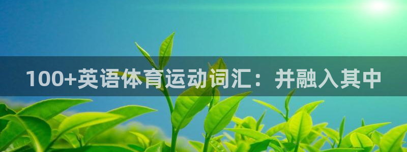 风速体育app下载官网最新版：100+英语体育运动词汇：并融入其中
