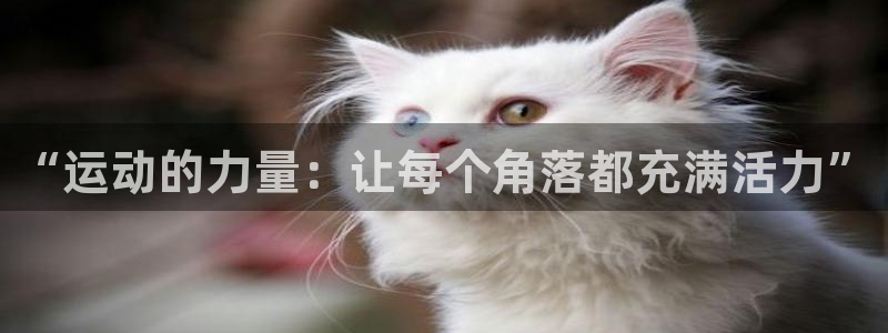 风速体育app官方下载
