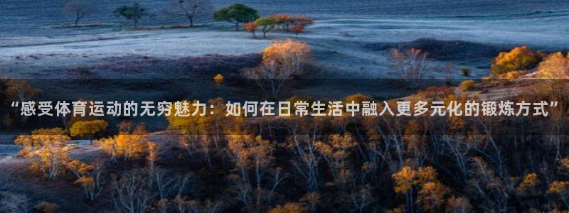 风速体育官网