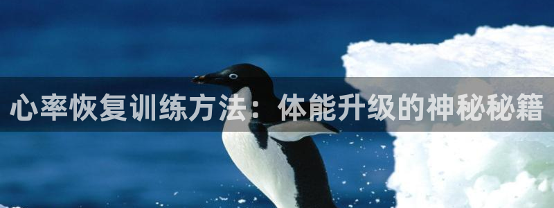风速体育nba免费直播：心率恢复训练方法：体能升级的神秘秘籍