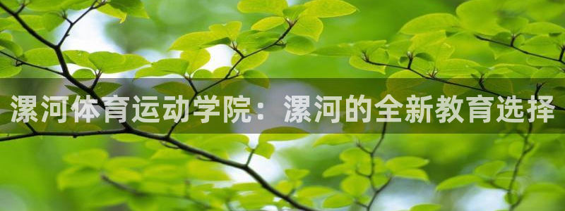 风速体育app官方下载：漯河体育运动学院：漯河的全新教育选择