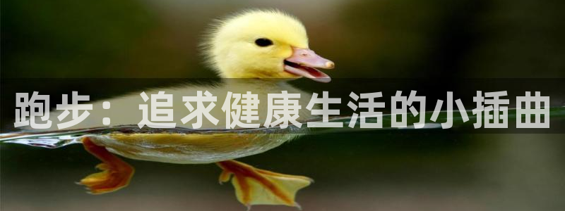 风速体育直播：跑步：追求健康生活的小插曲