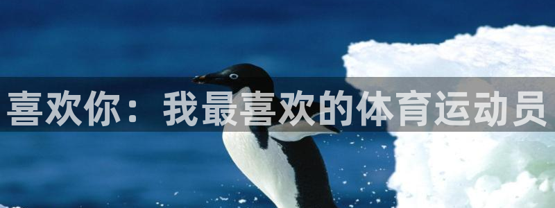 风速体育官网：喜欢你：我最喜欢的体育运动员