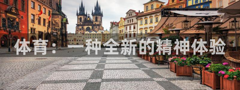 风速体育下载