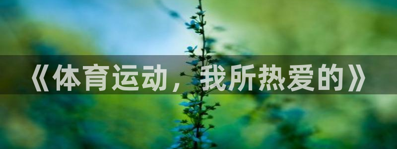 下载风速体育：《体育运动，我所热爱的》