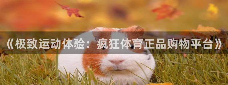 风速体育直播：《极致运动体验：疯狂体育正品购物平台》